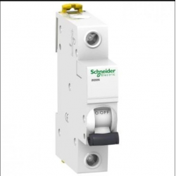 Schneider Sigorta 1B 6A 6KA IK60N