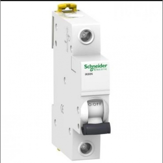 Schneider Sigorta 1B 6A 6KA IK60N