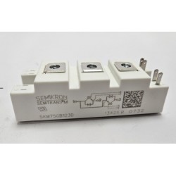 Semikron SKM75GB123D 75A 1200V IGBT Modülü
